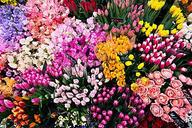 Twitch平台测试付费高亮聊天信息功能 最高收费100美元